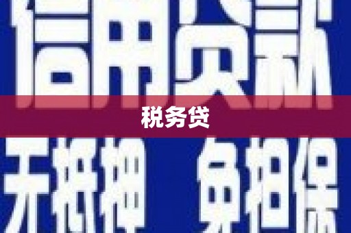 长岛税务贷