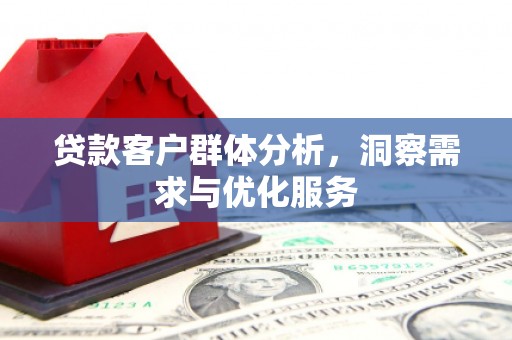 长岛贷款客户群体分析，洞察需求与优化服务